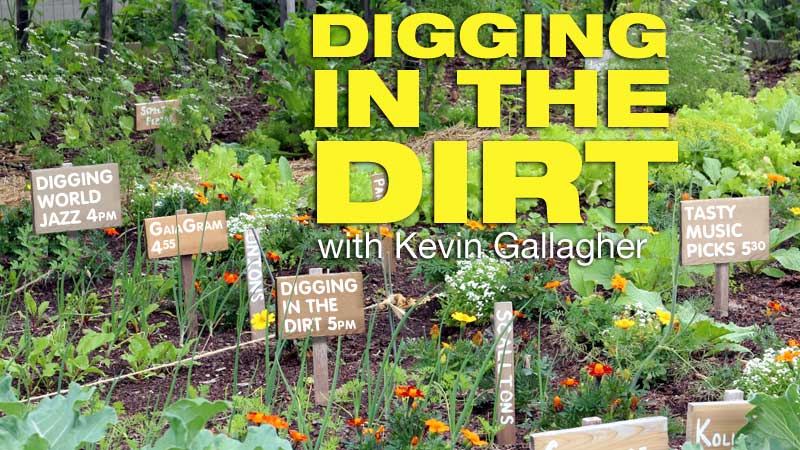 Digging in the Dirt
