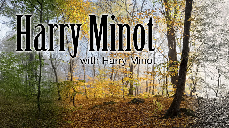 Harry Minot