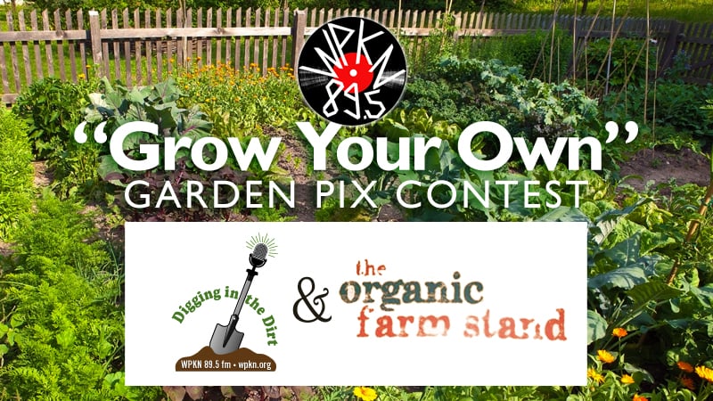 WPKN Grow Your Own